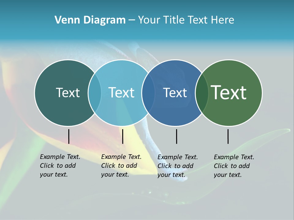 Chameleons Belong To One Of The Best Known Lizard Families. PowerPoint Template