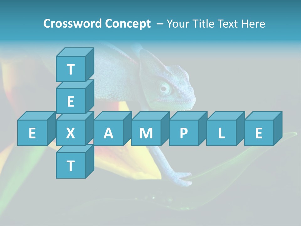 Chameleons Belong To One Of The Best Known Lizard Families. PowerPoint Template