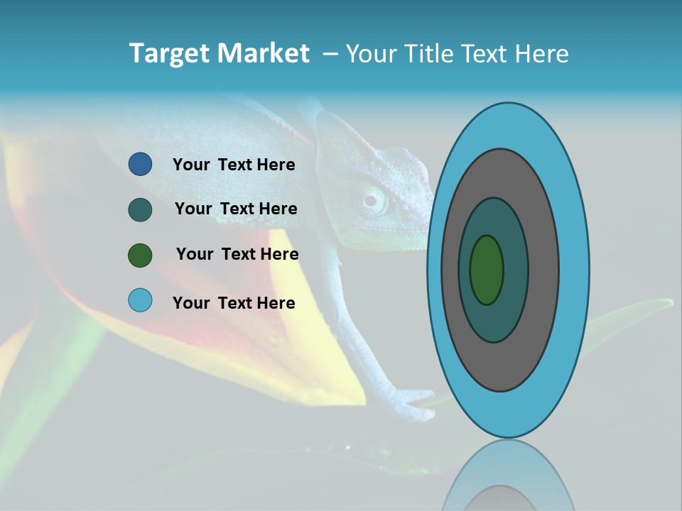 Chameleons Belong To One Of The Best Known Lizard Families. PowerPoint Template