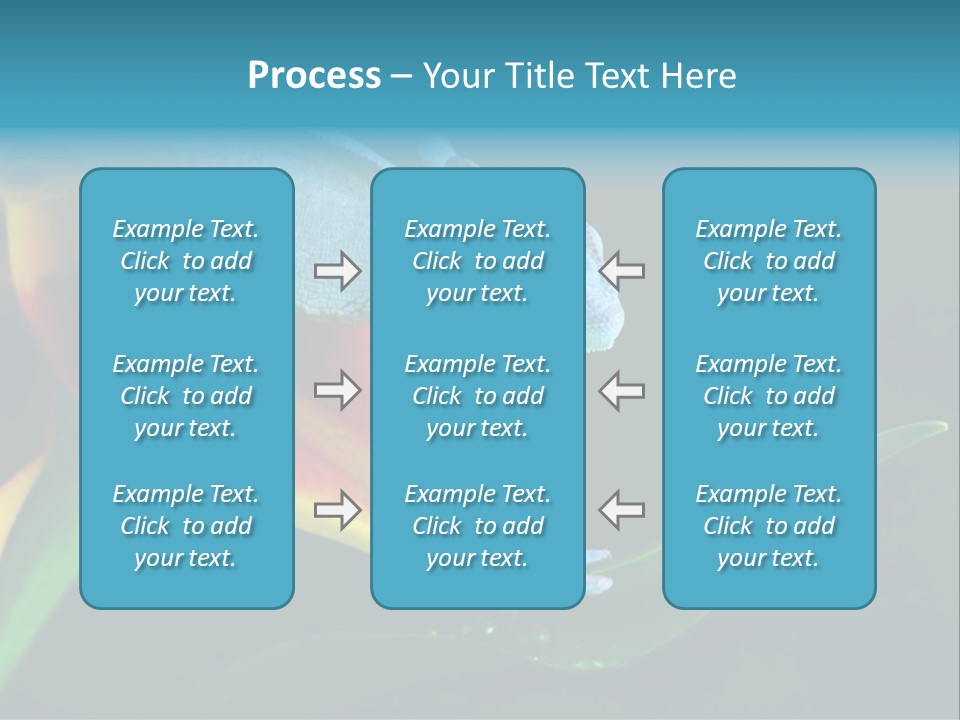 Chameleons Belong To One Of The Best Known Lizard Families. PowerPoint Template