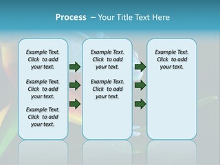 Chameleons Belong To One Of The Best Known Lizard Families. PowerPoint Template