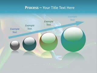 Chameleons Belong To One Of The Best Known Lizard Families. PowerPoint Template