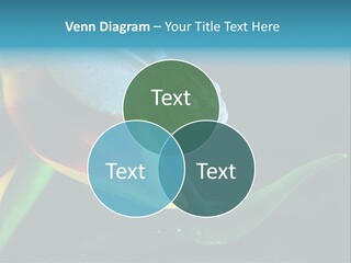 Chameleons Belong To One Of The Best Known Lizard Families. PowerPoint Template