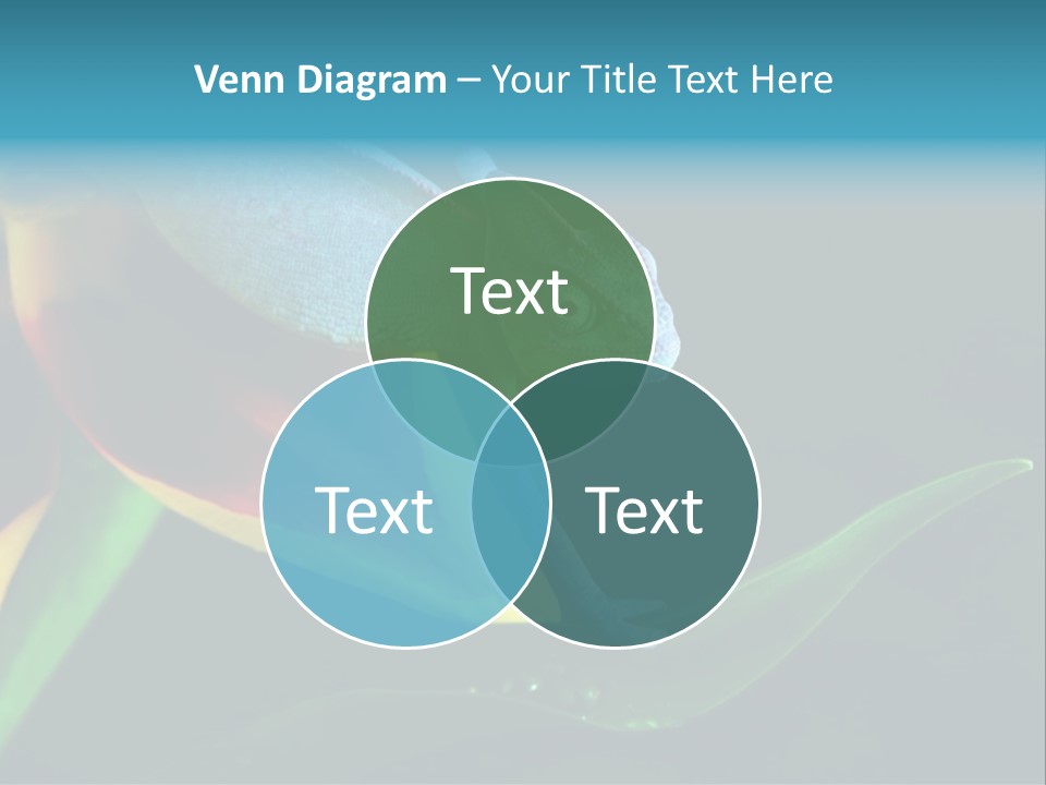 Chameleons Belong To One Of The Best Known Lizard Families. PowerPoint Template