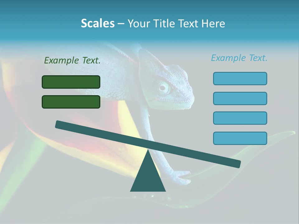 Chameleons Belong To One Of The Best Known Lizard Families. PowerPoint Template