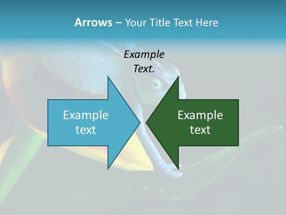 Chameleons Belong To One Of The Best Known Lizard Families. PowerPoint Template