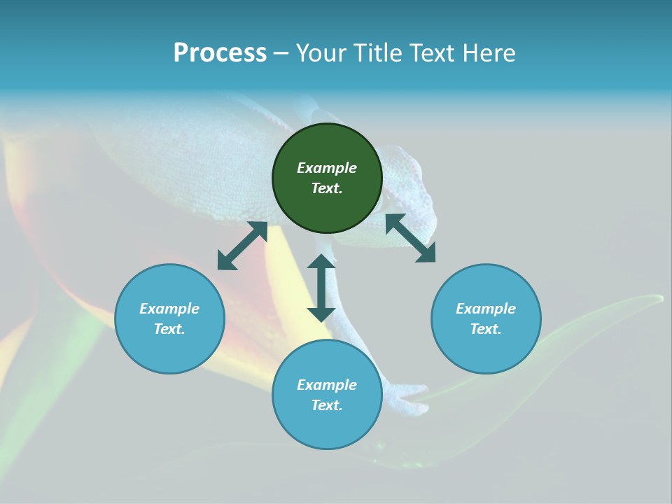 Chameleons Belong To One Of The Best Known Lizard Families. PowerPoint Template