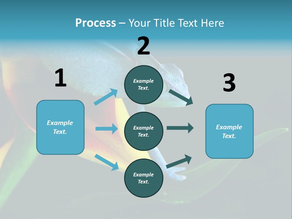 Chameleons Belong To One Of The Best Known Lizard Families. PowerPoint Template