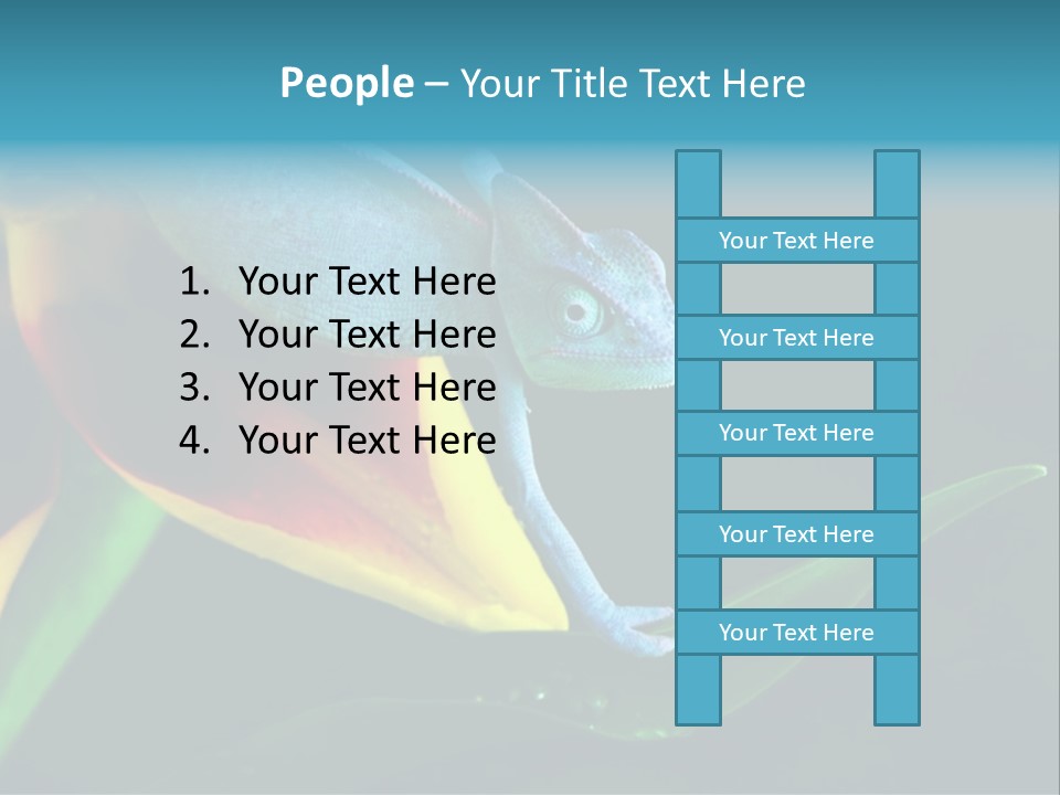 Chameleons Belong To One Of The Best Known Lizard Families. PowerPoint Template