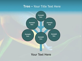 Chameleons Belong To One Of The Best Known Lizard Families. PowerPoint Template