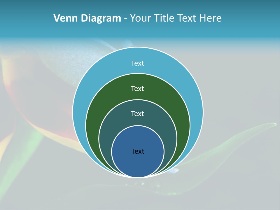 Chameleons Belong To One Of The Best Known Lizard Families. PowerPoint Template