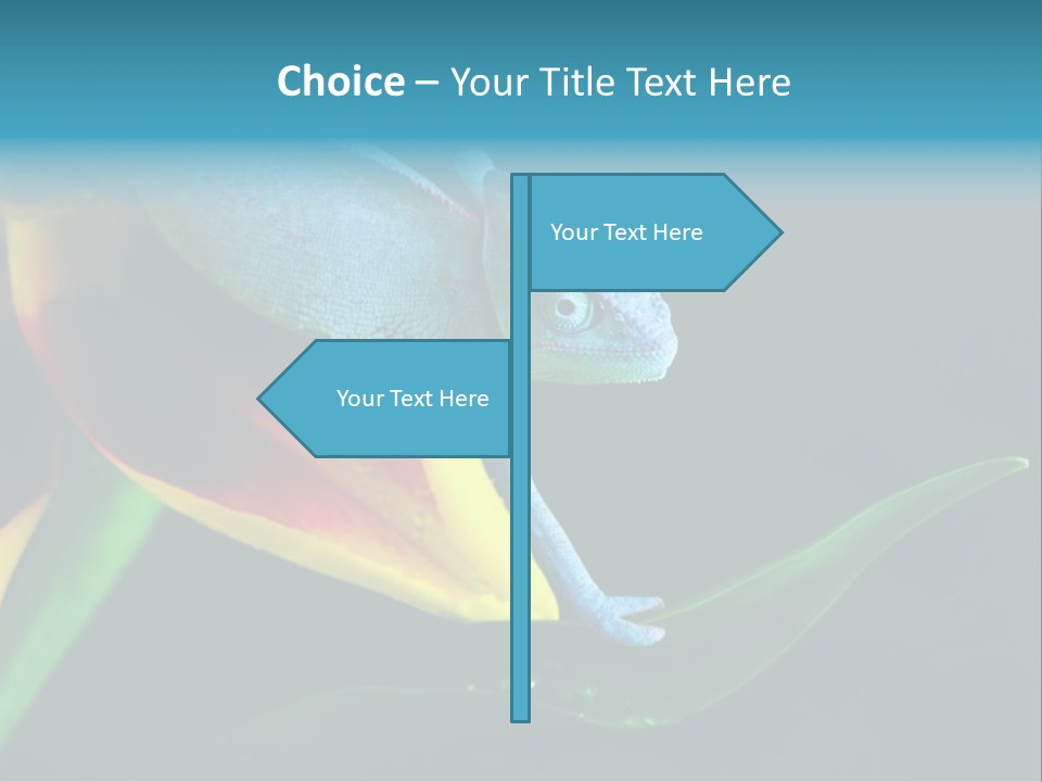 Chameleons Belong To One Of The Best Known Lizard Families. PowerPoint Template