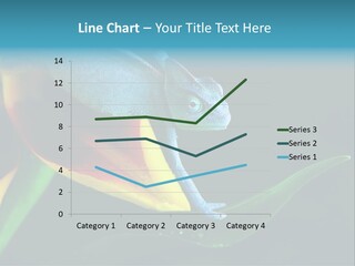 Chameleons Belong To One Of The Best Known Lizard Families. PowerPoint Template