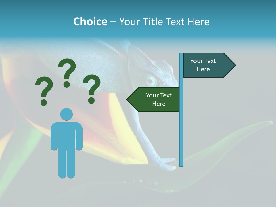 Chameleons Belong To One Of The Best Known Lizard Families. PowerPoint Template