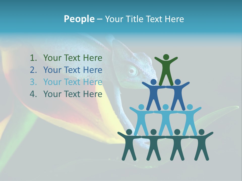 Chameleons Belong To One Of The Best Known Lizard Families. PowerPoint Template