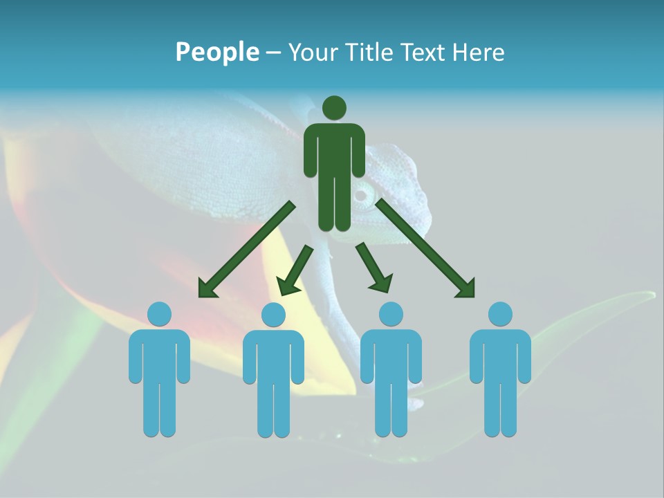 Chameleons Belong To One Of The Best Known Lizard Families. PowerPoint Template