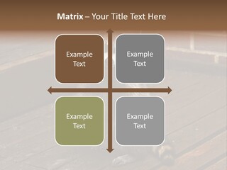 A Spring Raccoon That Lives In An Ohio Suburb - Looks Like He's Begging Or Clapping. PowerPoint Template