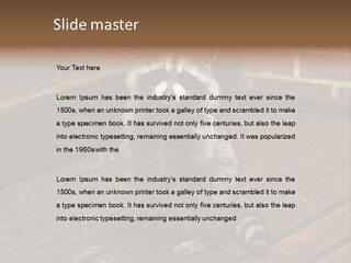 A Spring Raccoon That Lives In An Ohio Suburb - Looks Like He's Begging Or Clapping. PowerPoint Template