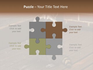 A Spring Raccoon That Lives In An Ohio Suburb - Looks Like He's Begging Or Clapping. PowerPoint Template