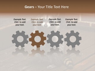 A Spring Raccoon That Lives In An Ohio Suburb - Looks Like He's Begging Or Clapping. PowerPoint Template