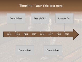 A Spring Raccoon That Lives In An Ohio Suburb - Looks Like He's Begging Or Clapping. PowerPoint Template