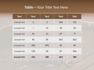 A Spring Raccoon That Lives In An Ohio Suburb - Looks Like He's Begging Or Clapping. PowerPoint Template