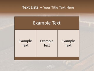 A Spring Raccoon That Lives In An Ohio Suburb - Looks Like He's Begging Or Clapping. PowerPoint Template