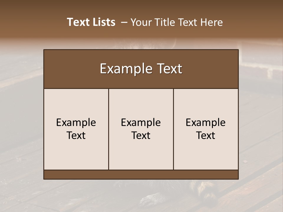 A Spring Raccoon That Lives In An Ohio Suburb - Looks Like He's Begging Or Clapping. PowerPoint Template