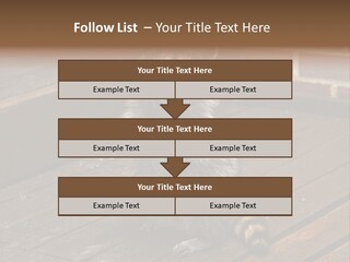 A Spring Raccoon That Lives In An Ohio Suburb - Looks Like He's Begging Or Clapping. PowerPoint Template
