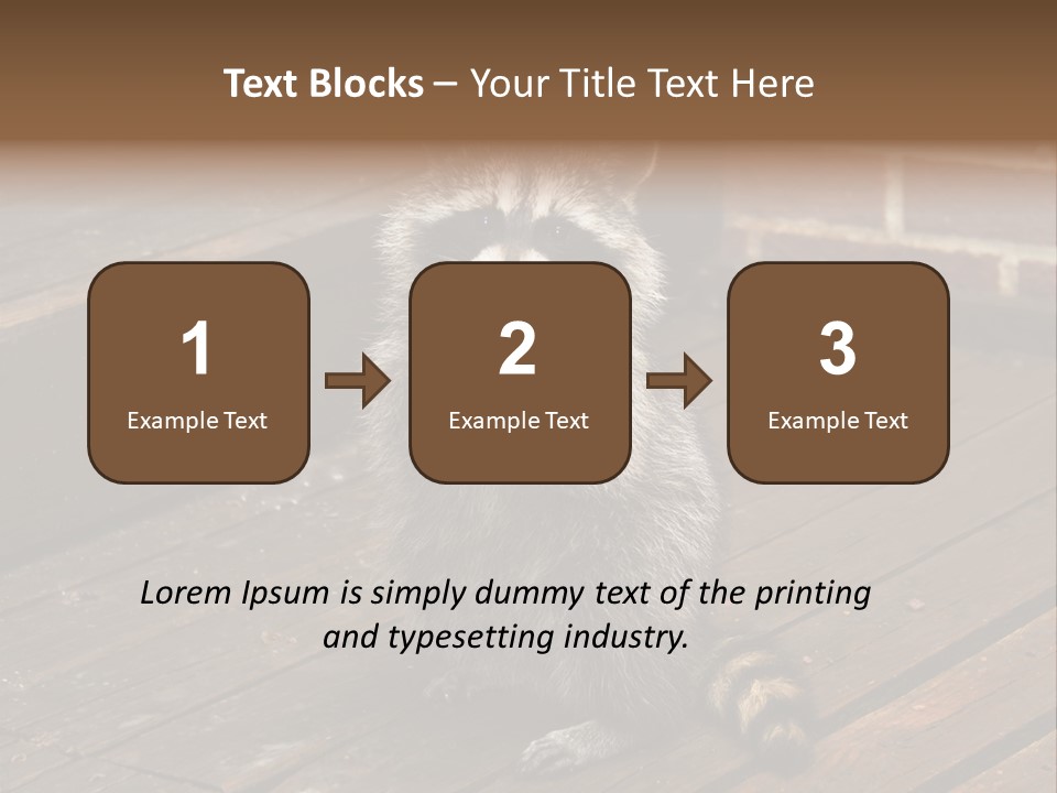 A Spring Raccoon That Lives In An Ohio Suburb - Looks Like He's Begging Or Clapping. PowerPoint Template