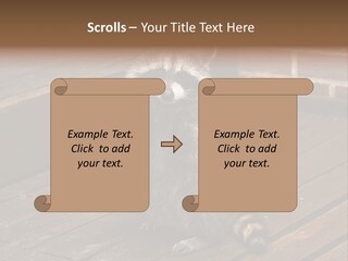 A Spring Raccoon That Lives In An Ohio Suburb - Looks Like He's Begging Or Clapping. PowerPoint Template
