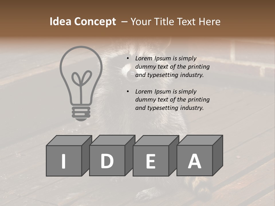 A Spring Raccoon That Lives In An Ohio Suburb - Looks Like He's Begging Or Clapping. PowerPoint Template