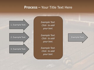 A Spring Raccoon That Lives In An Ohio Suburb - Looks Like He's Begging Or Clapping. PowerPoint Template