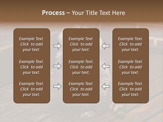 A Spring Raccoon That Lives In An Ohio Suburb - Looks Like He's Begging Or Clapping. PowerPoint Template