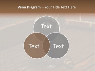 A Spring Raccoon That Lives In An Ohio Suburb - Looks Like He's Begging Or Clapping. PowerPoint Template