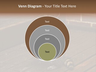 A Spring Raccoon That Lives In An Ohio Suburb - Looks Like He's Begging Or Clapping. PowerPoint Template