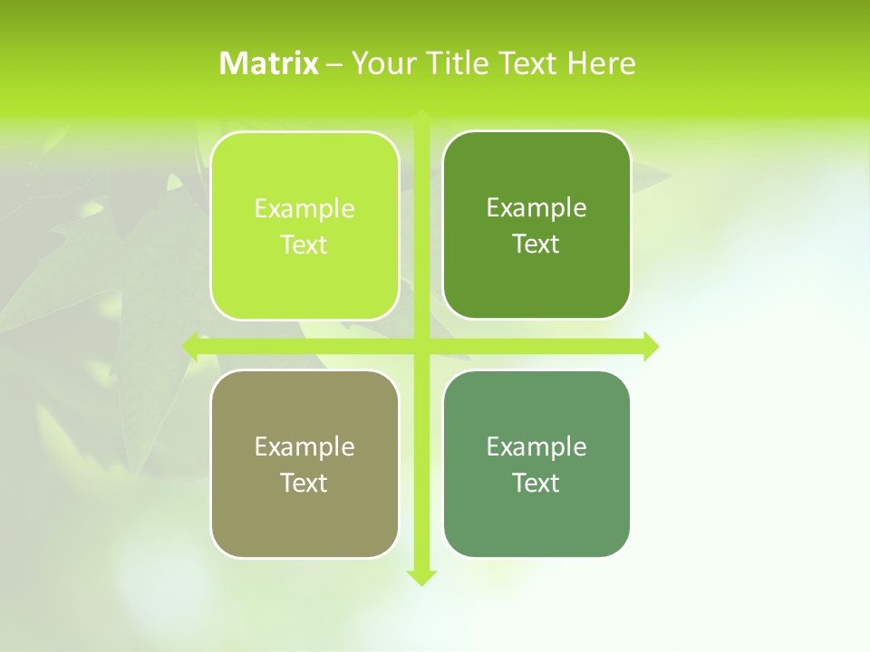 A Green Leaf Is Hanging From A Tree PowerPoint Template