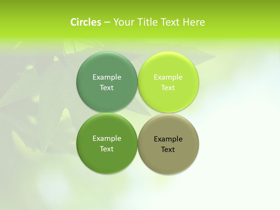 A Green Leaf Is Hanging From A Tree PowerPoint Template