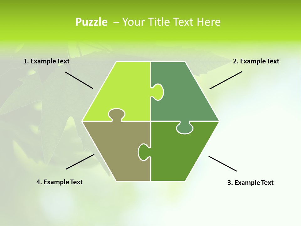 A Green Leaf Is Hanging From A Tree PowerPoint Template