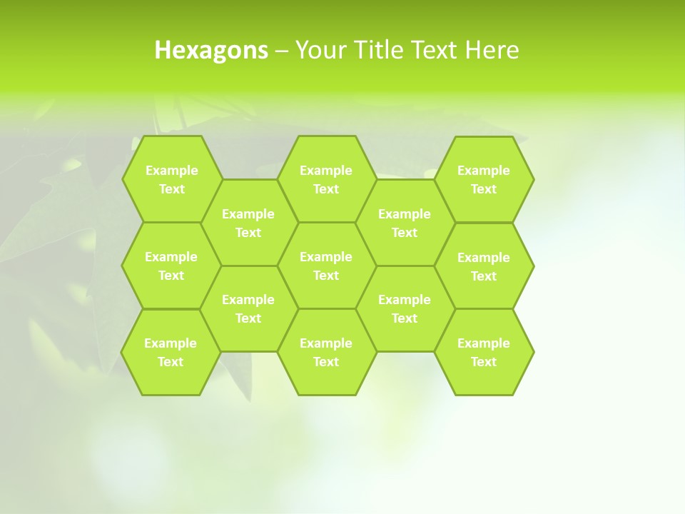 A Green Leaf Is Hanging From A Tree PowerPoint Template