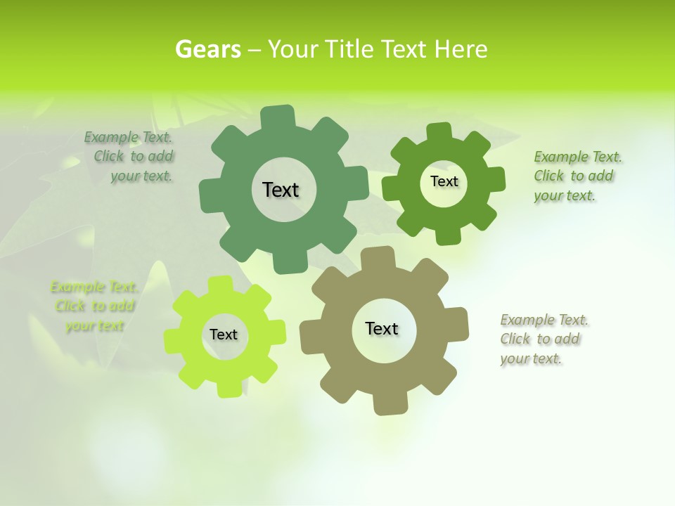 A Green Leaf Is Hanging From A Tree PowerPoint Template