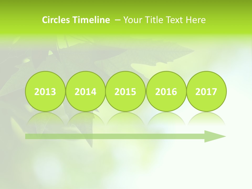 A Green Leaf Is Hanging From A Tree PowerPoint Template