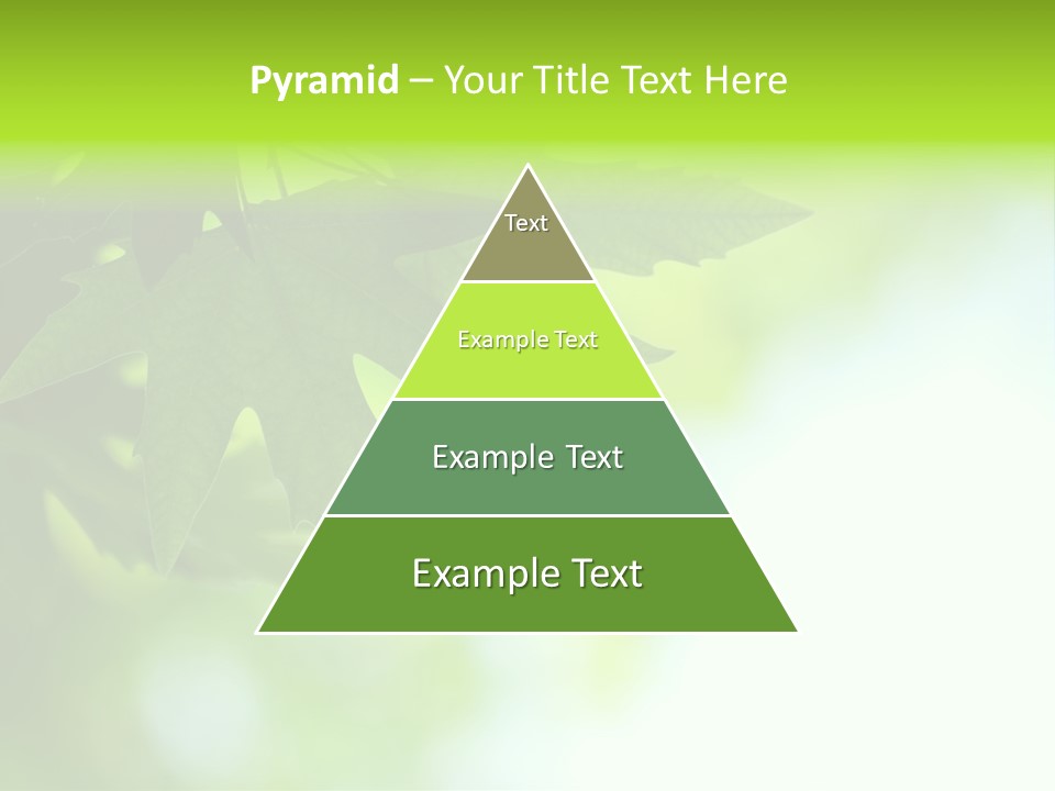 A Green Leaf Is Hanging From A Tree PowerPoint Template