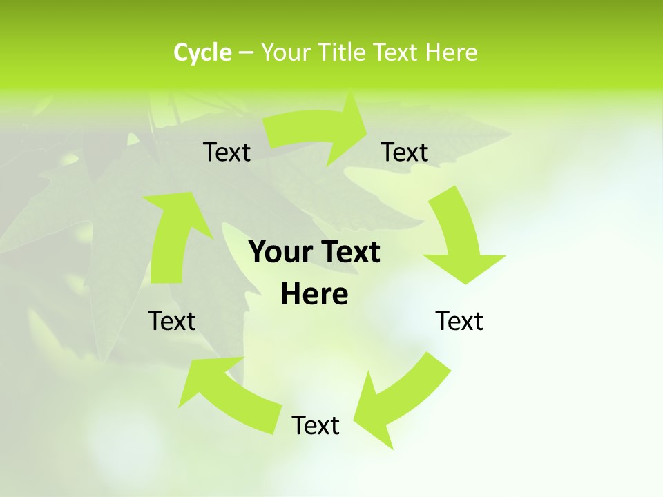 A Green Leaf Is Hanging From A Tree PowerPoint Template