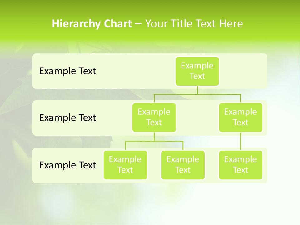 A Green Leaf Is Hanging From A Tree PowerPoint Template