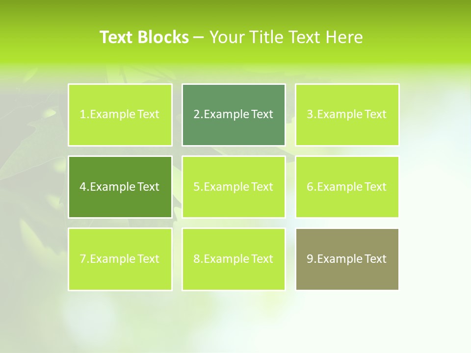 A Green Leaf Is Hanging From A Tree PowerPoint Template