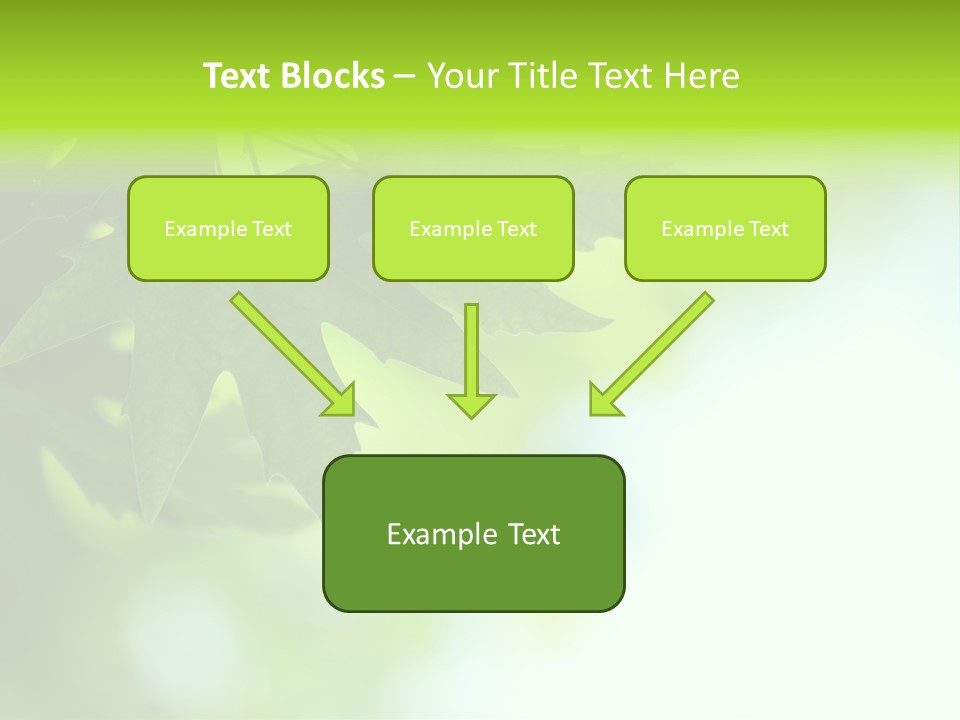 A Green Leaf Is Hanging From A Tree PowerPoint Template