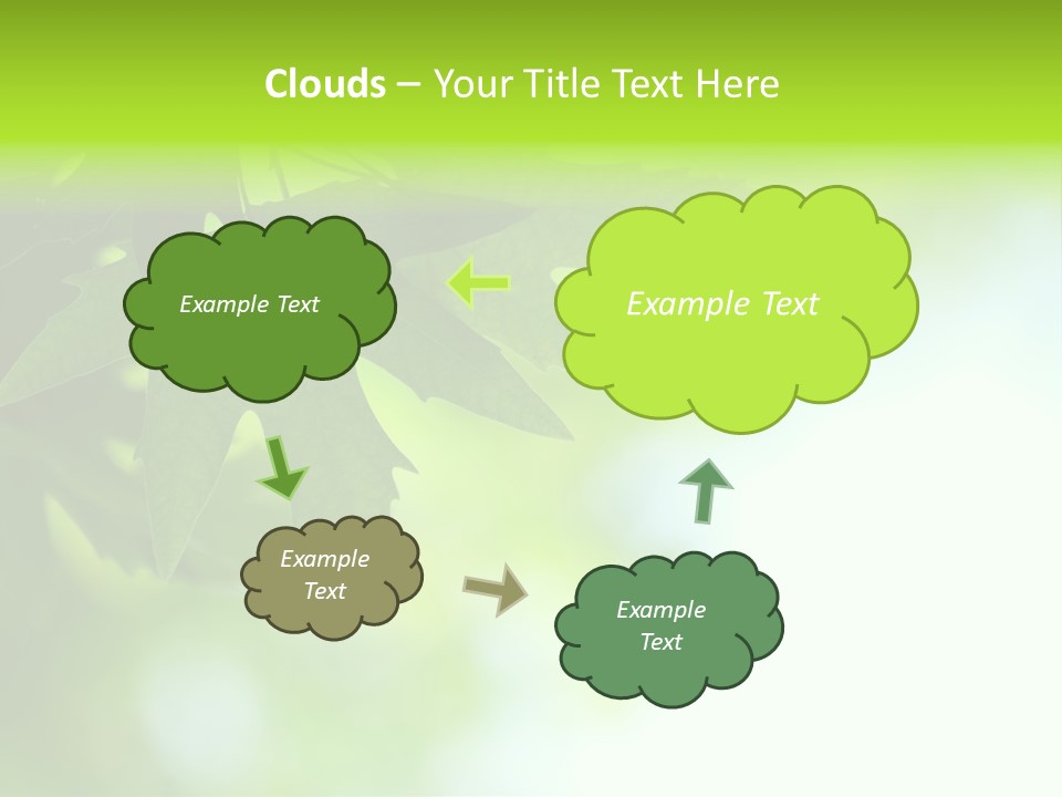 A Green Leaf Is Hanging From A Tree PowerPoint Template