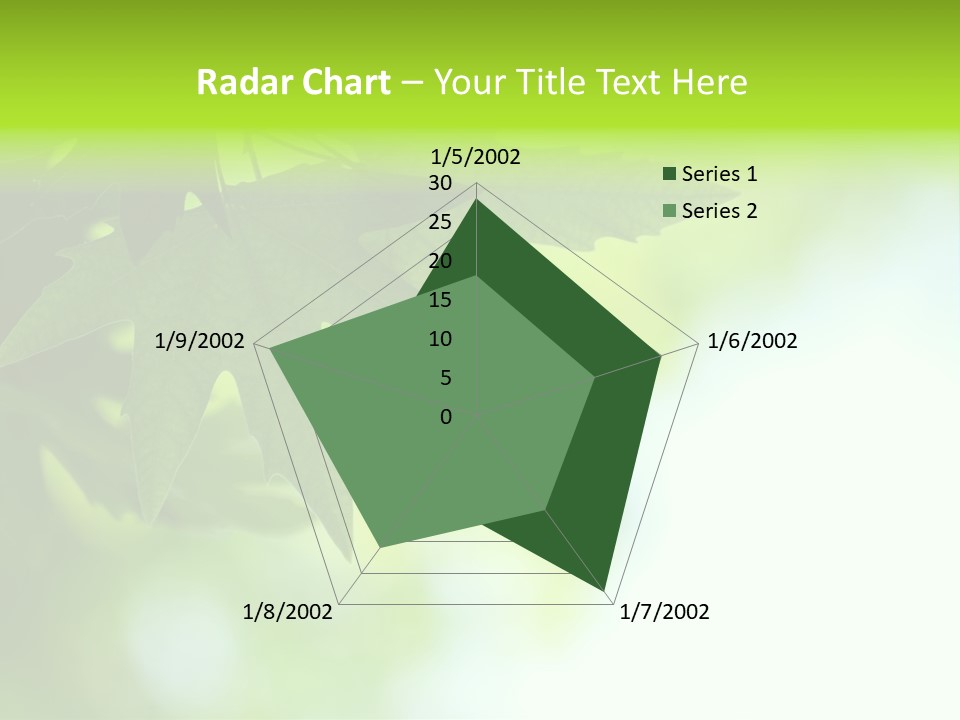 A Green Leaf Is Hanging From A Tree PowerPoint Template