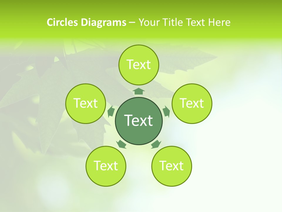 A Green Leaf Is Hanging From A Tree PowerPoint Template